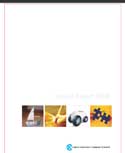 Annual Report 2014